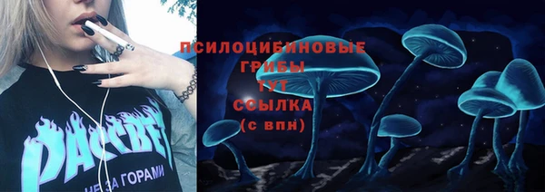 дурь Навашино