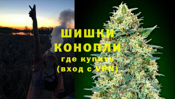первитин Анива