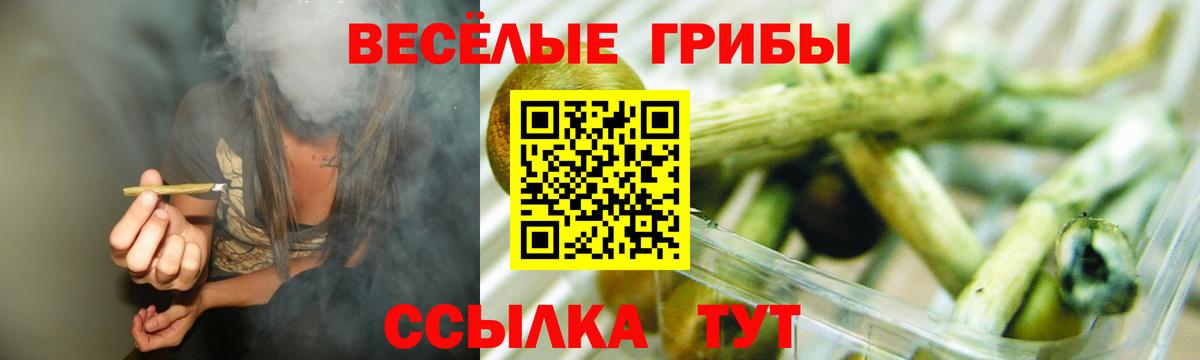 Костомукша  Галлюциногенные грибы Magic Shrooms  Вход с VPN 